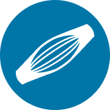 image card